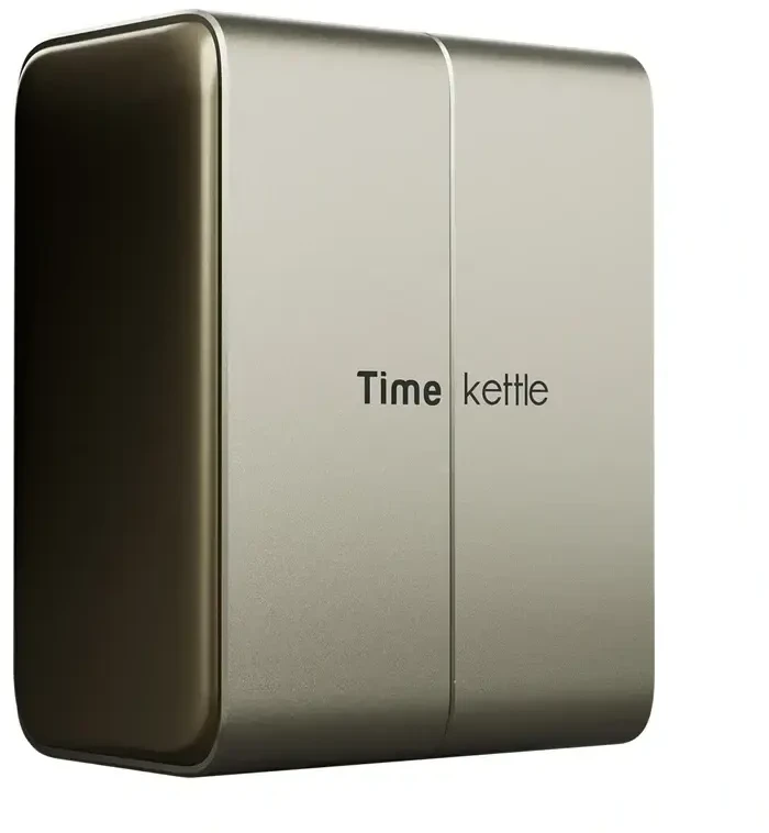 Ausinės TimeKettle W4 Plus TWS Translation Earbuds (Auksinė)