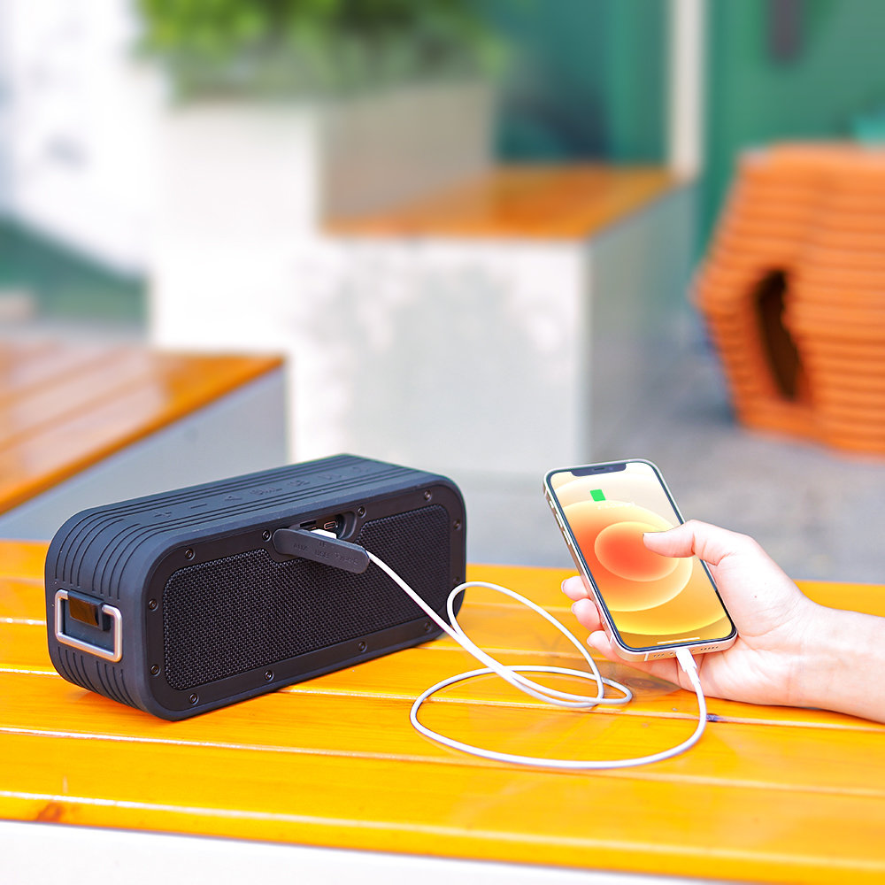 Tronsmart Force X 60W BT nešiošajama kolonėlė su Powerbank funkcija ...
