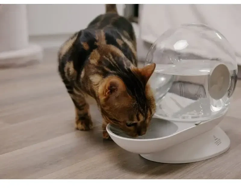 Automātiskā dzirdne dzīvniekiem - Placek Cat Epic Pet Aqua ball water dispenser 2.8l/ 30cm