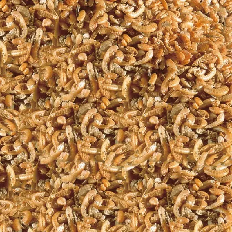 SERA RAFFY I PAŠARAS VĖŽLIAMS, 250 ml