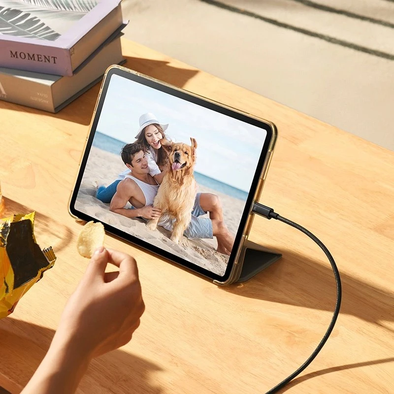 USB-C į USB-C laidas Baseus Tungsten Gold 240W 2 m (juodas)