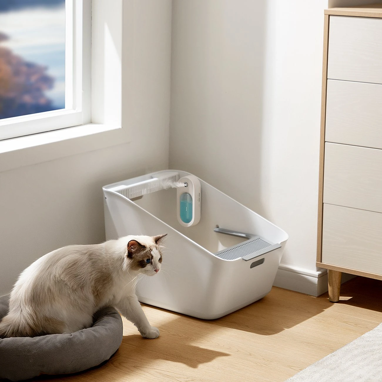 Baseus Home for Pet Flora J1 Animal Odor Neutralizer, 30 dienų baterijos veikimo laikas, 1500 mAh Baltas (ACFJ000002)
