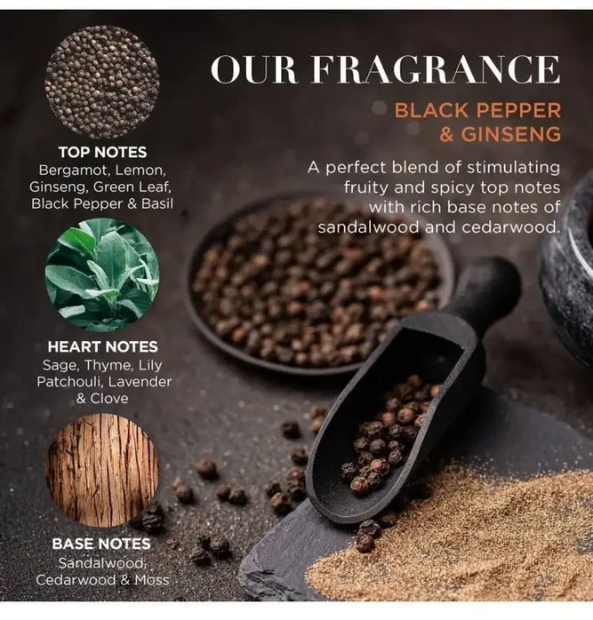 Baylis Harding Debenhams Men Juodas Pepper & Ginseng Men's Discovery Gift Set
