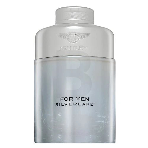 Bentley Silverlake EDP parfumuotas vanduo vyrams, 100 ml