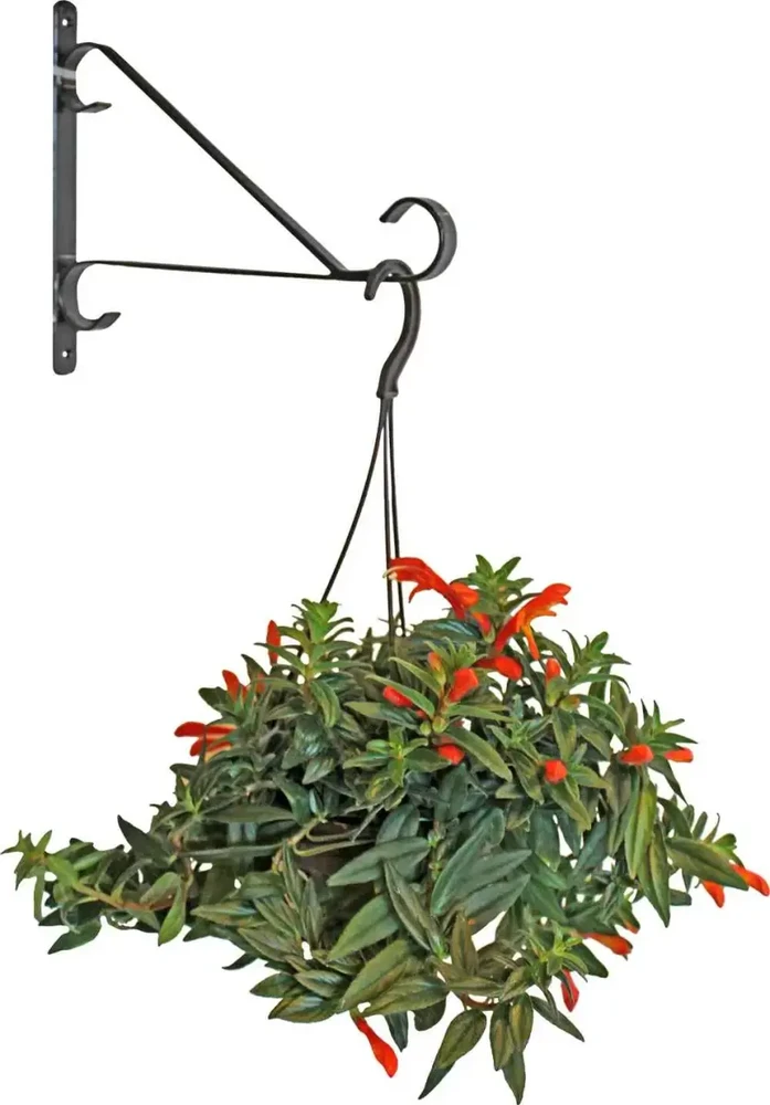 Besk Laikiklis gėlių vazonui Sieninis Metalo 25.4cm