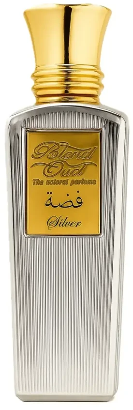 Blend Oud Classic Coll Sidabrinis EDP parfumuotas vanduo, 75 ml