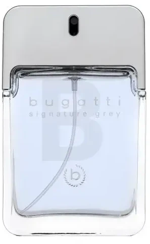Bugatti Signature Pilkas EDT tualetinis vanduo vyrams, 100 ml
