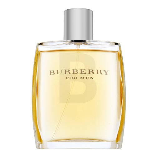 Kvepalai vyrams Burberry For Men EDT, 100 ml