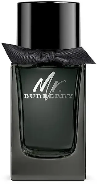 Burberry Mr. Burberry EDP parfumuotas vanduo vyrams, 100 ml