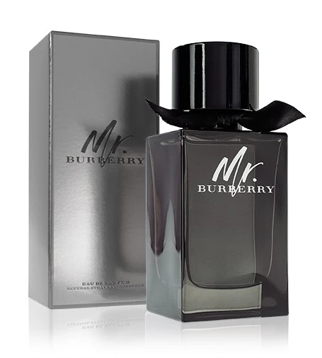 Burberry Mr. Burberry EDP parfumuotas vanduo vyrams, 100 ml
