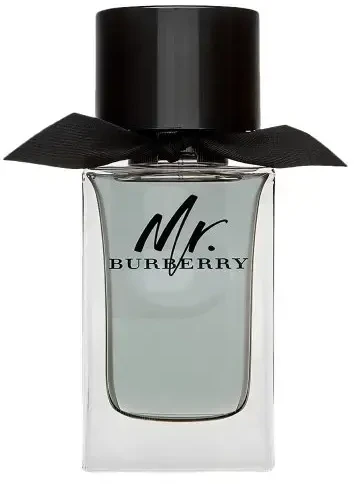 Mr Burberry EDT tualetinis vanduo unisex, 100 ml