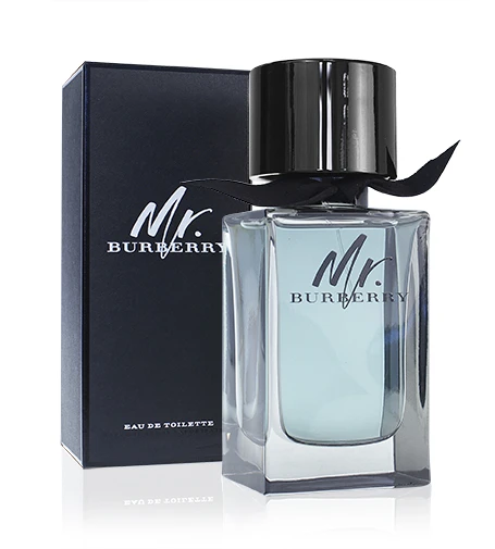 Burberry Mr. Burberry EDT tualetinis vanduo vyrams, 100 ml