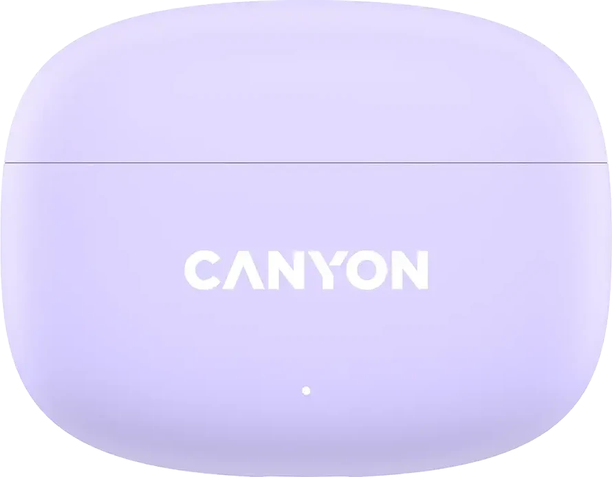 Ausinės Canyon OnGo 9, violetinės