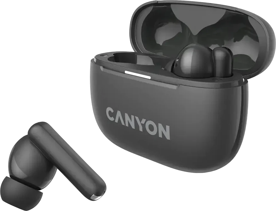 Ausinės Canyon OnGo ANC TWS-10, Pilkos