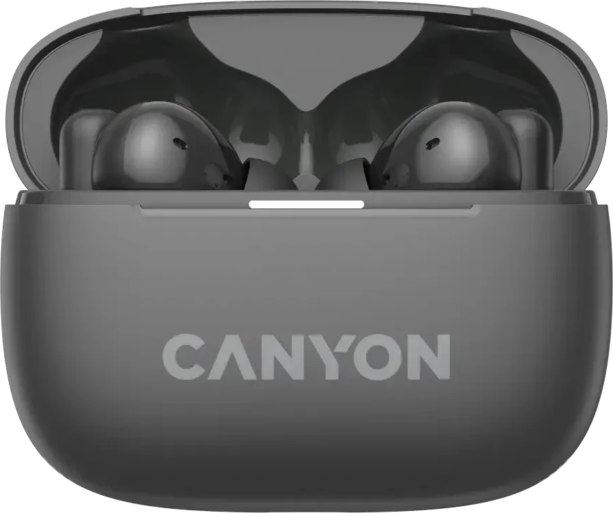 Ausinės Canyon OnGo ANC TWS-10, Pilkos