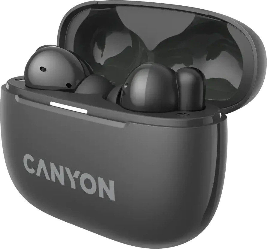Ausinės Canyon OnGo ANC TWS-10, Pilkos