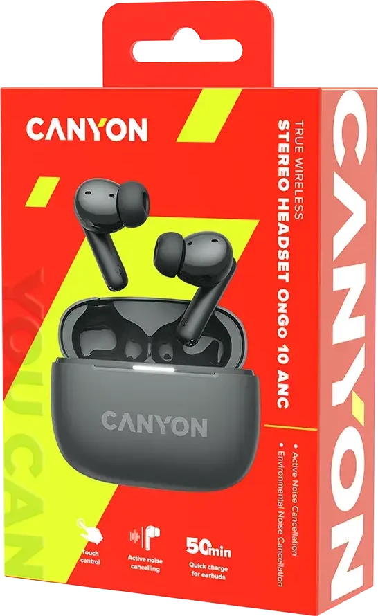 Ausinės Canyon OnGo ANC TWS-10, Pilkos