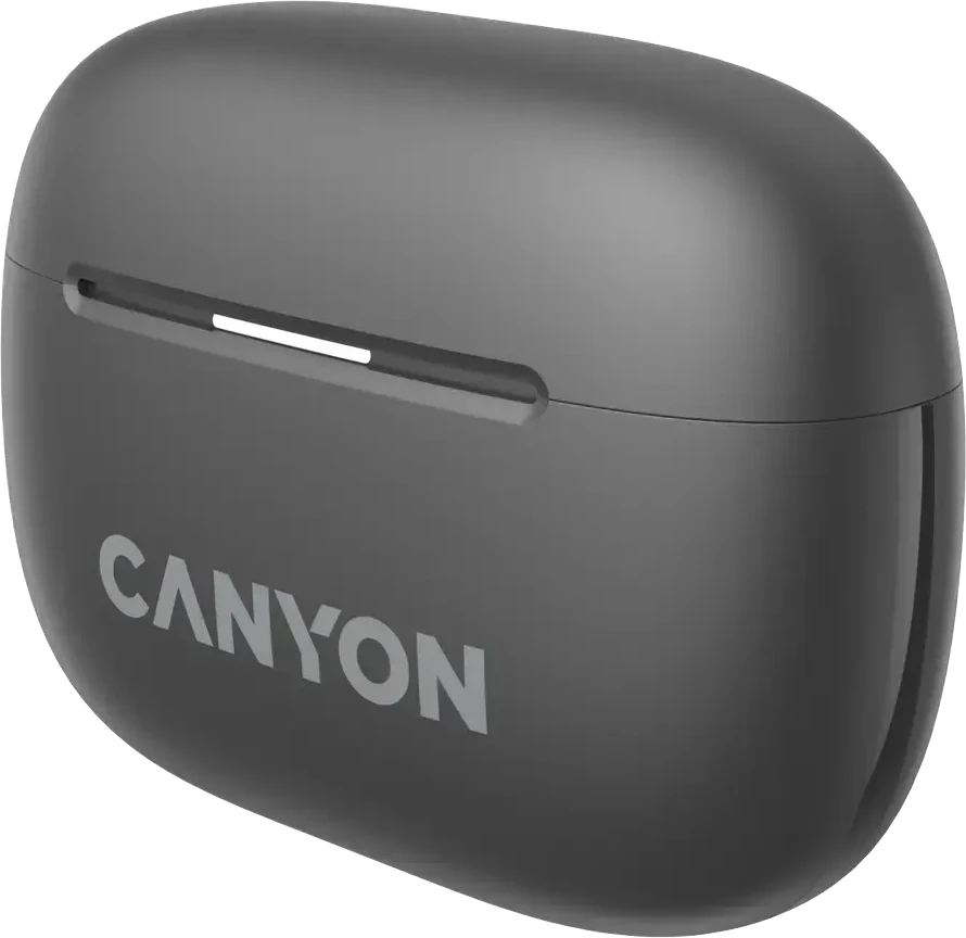 Ausinės Canyon OnGo ANC TWS-10, Pilkos