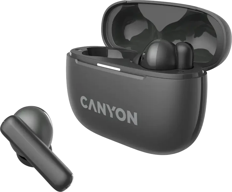 Ausinės Canyon OnGo ANC TWS-10, Pilkos