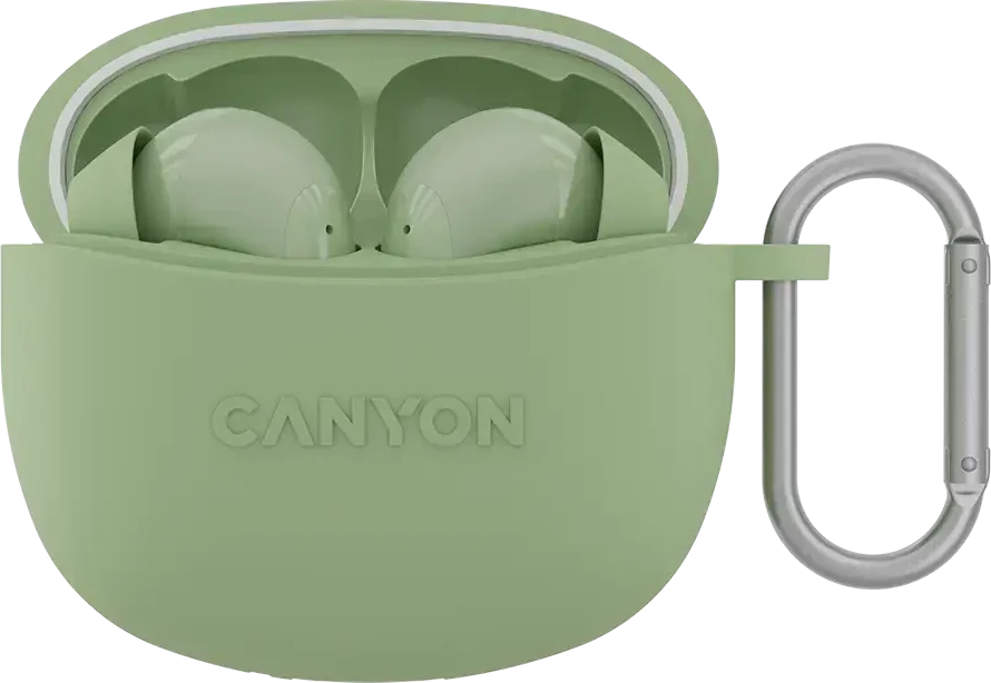Ausinės Canyon TWS-5, Sąmanų spalvos