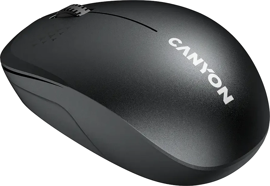 CANYON pelė MW-04 3 mygtukai BT Wireless Juodas