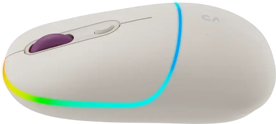 CANYON pelė MW-22 2in1 BT/ Wireless Rice