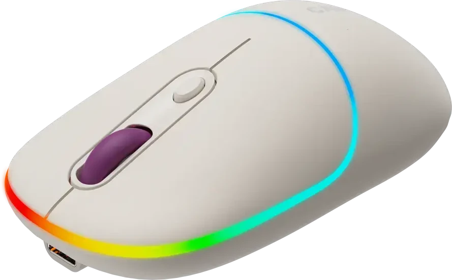 CANYON pelė MW-22 2in1 BT/ Wireless Rice