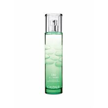 Tualetinis vanduo Caudalie Eau Fraîche Eau Des Vignes 50 ml