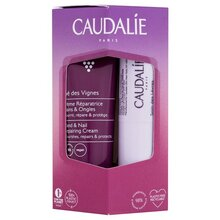 Caudalie Thé Des Vignes Hand - Nail Kreminis 30ml + Lūpų balzamas 4.5g rinkinys rankų kremas + lūpų balzamas