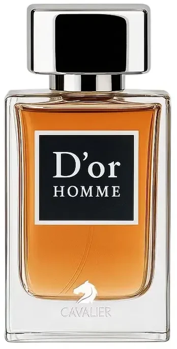 Cavalier D'or Homme EDP parfumuotas vanduo vyrams, 100 ml