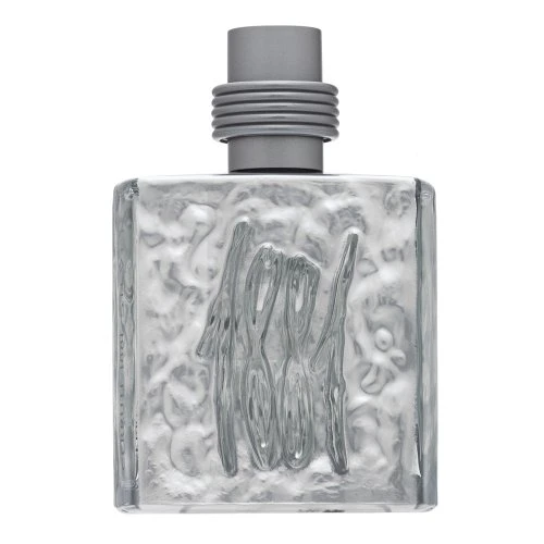 Nino Cerruti Cerruti 1881 Sidabrinis EDT tualetinis vanduo vyrams, 100 ml