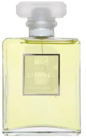 Chanel No 19 Poudre EDP parfumuotas vanduo moterims, 100 ml