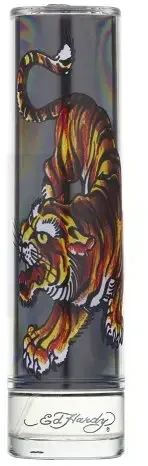 Christian Audigier Ed Hardy Men´s EDT tualetinis vanduo vyrams, 100 ml