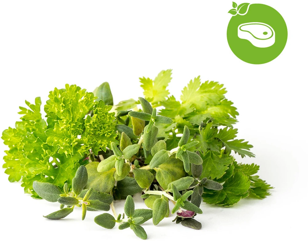 Click & Grow sėklos išmaniajam vazonui - Žolelės mėsai, 9vnt.