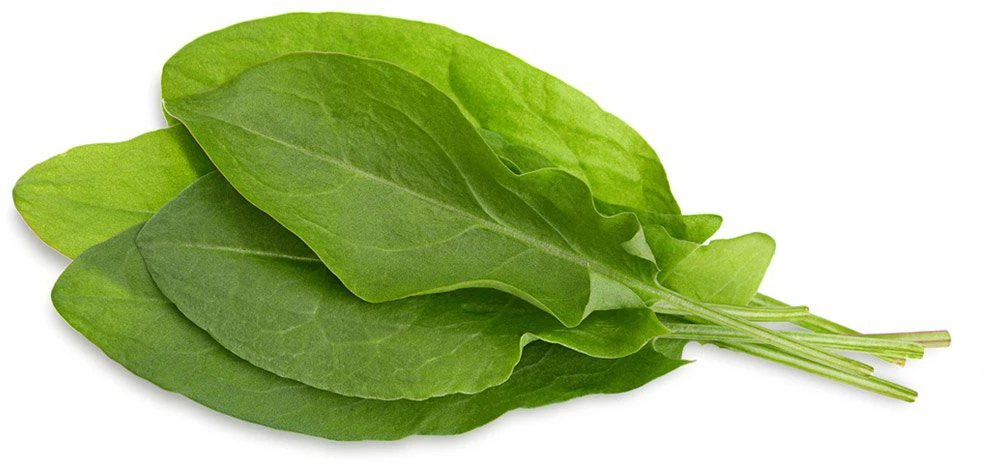 Click & Grow sėklos išmaniajam vazonui - Valgomoji rūgštynė (SGR55x3) 3vnt.