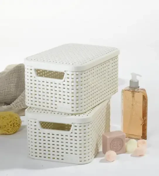 Daiktadėžė CURVER, 6 l, kreminė, 29,1×19,8×14,2 cm
