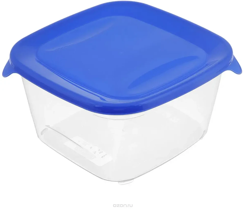 Galicja Curver / Keter CURVER MAISTO KONTEINYS "FRESH&GO" SQUARE 1.2L /Mėlynas/ SKAIDRUMAS