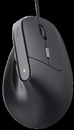 Trust Bayo II pelė dešinei rankai USB Type-A 2400 DPI