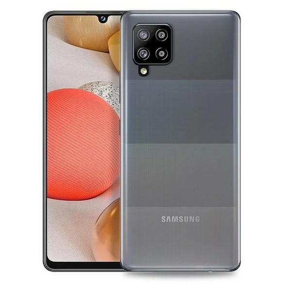 Dėklas PURO skirtas Samsung Galaxy A42 5G / SGA4203NUDETR