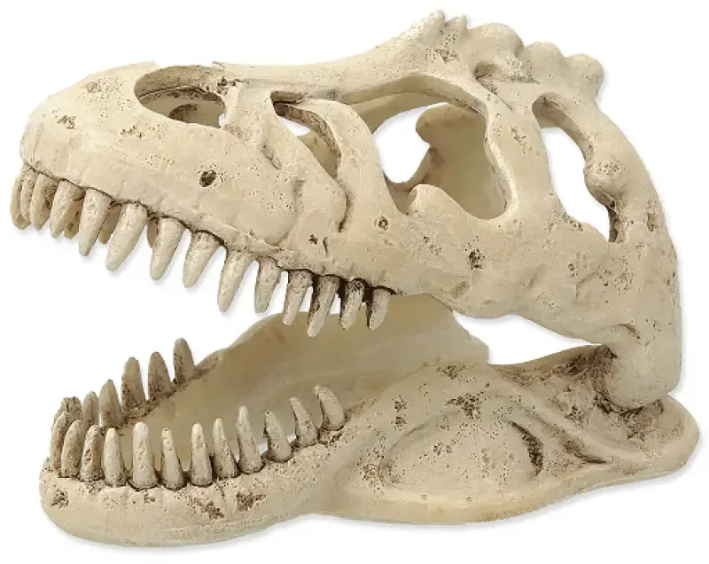 Dekors terārijam : Repti Planet T:REX skull 13,3x8,5x9cm