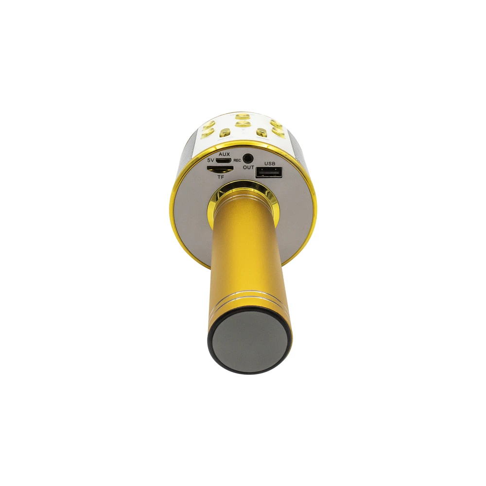 Mikrofonas su głośnikiem BT do karaoke Denver KMS-20 auksinė