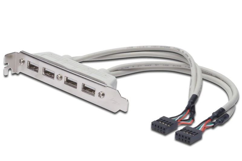 Assmann Electronic ASSMANN USB lizdo laikiklio kabelis 4x tipo A-2x10 kontaktų IDC F/F 0,25 m USB 2.0 suderinamas