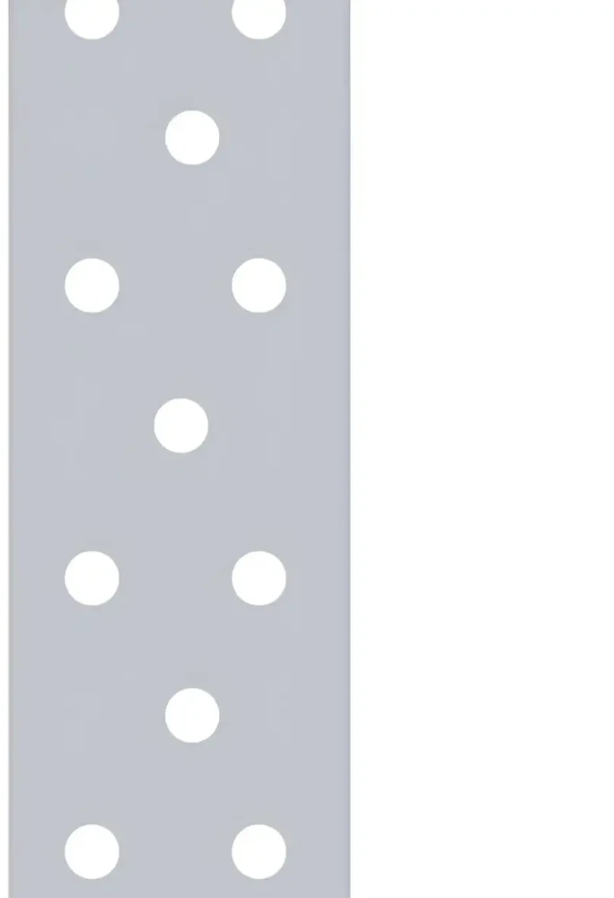 DMX Mounting strap TM2/10 40x2.0mm wide 1m