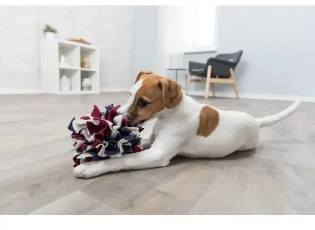 Trixie Dog Activity Sniffing Ball, uostymo žaislas, šuniui, dia. 15 cm
