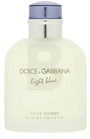 Kvepalai vyrams Dolce & Gabbana Light Blue Pour Homme EDT, 125 ml