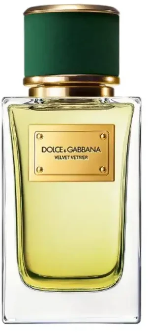 Dolce&Gabbana Dolce&Gabbana D y g Velvet Vetiver EDP, 100 ml