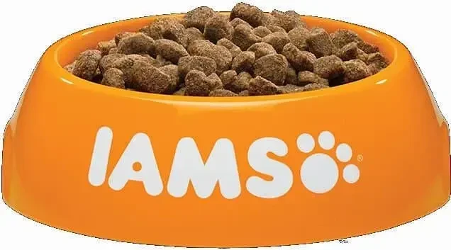 IAMS sausas pašaras naminėms katėms su vištiena, 2kg