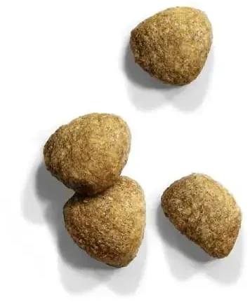 Sausas Kačių Maistas - IAMS Pažangi Mityba 10 Kg
