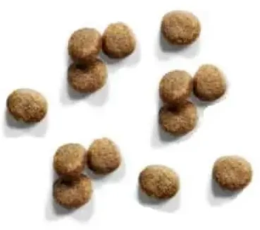 IAMS Kitten (vištiena) 10kg