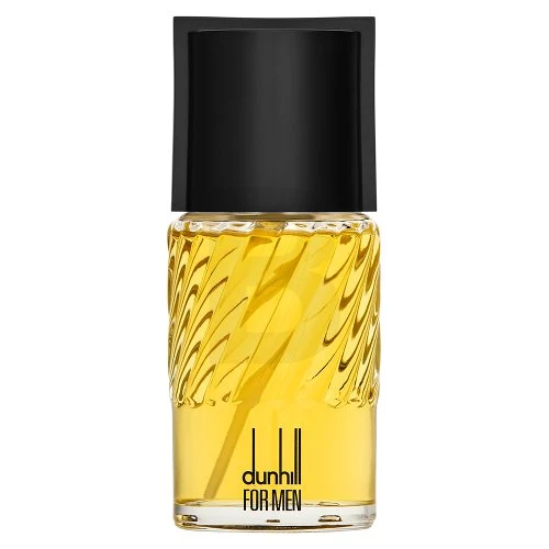 Dunhill Dunhill For Men EDT tualetinis vanduo vyrams, 100 ml